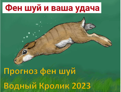 Прогноз фен шуй на 2023 год Водного Кролика