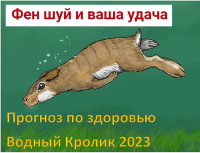 Прогноз по здоровью на 2023 год Водного Кролика